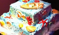torta 32